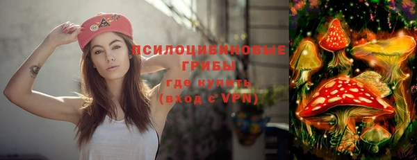 ешки Володарск