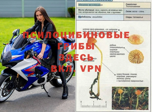 амфетамин Волоколамск