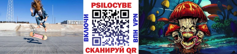 Псилоцибиновые грибы Psilocybe  Ивангород 